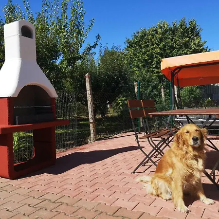 Kaszas Garden アパート